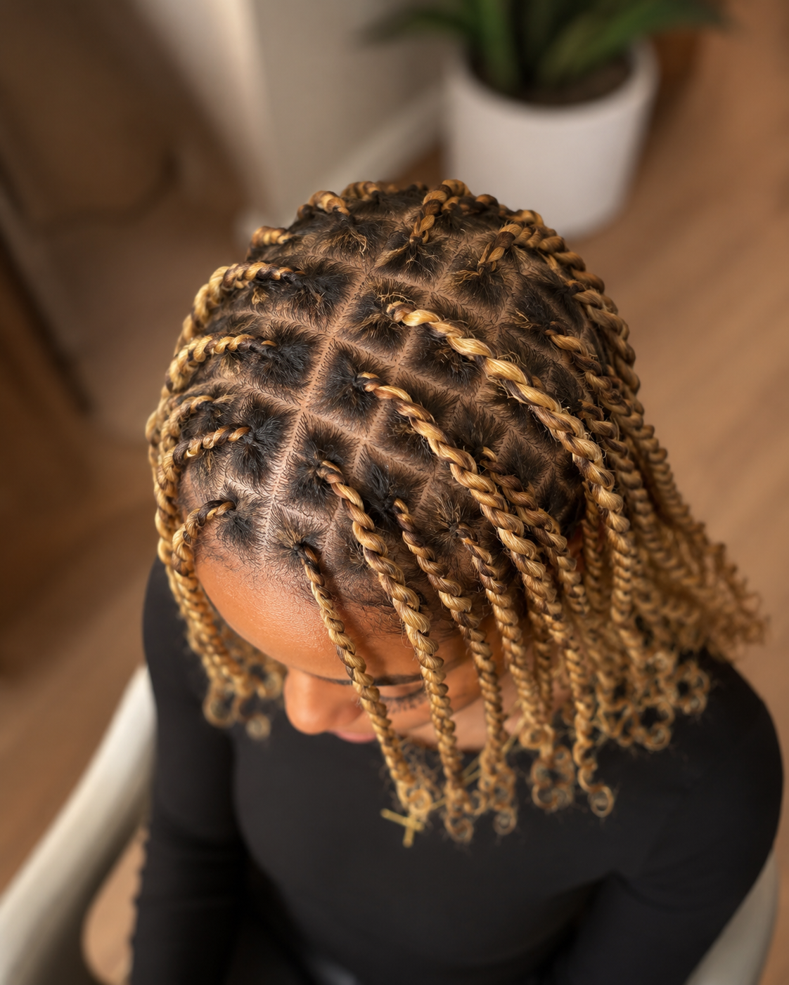 Mini Twists
